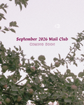 Rainy Days Mail Club (United States)
