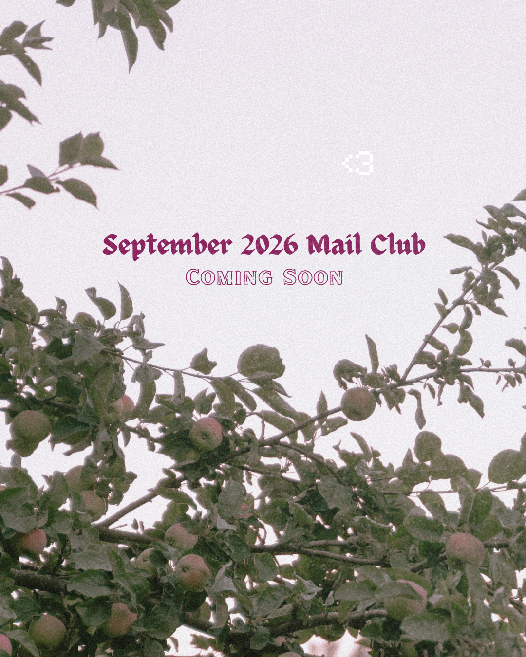 Rainy Days Mail Club (United States)
